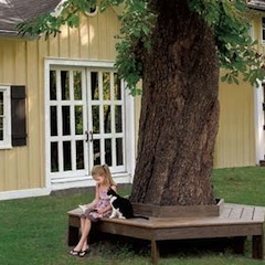 Tree Bench